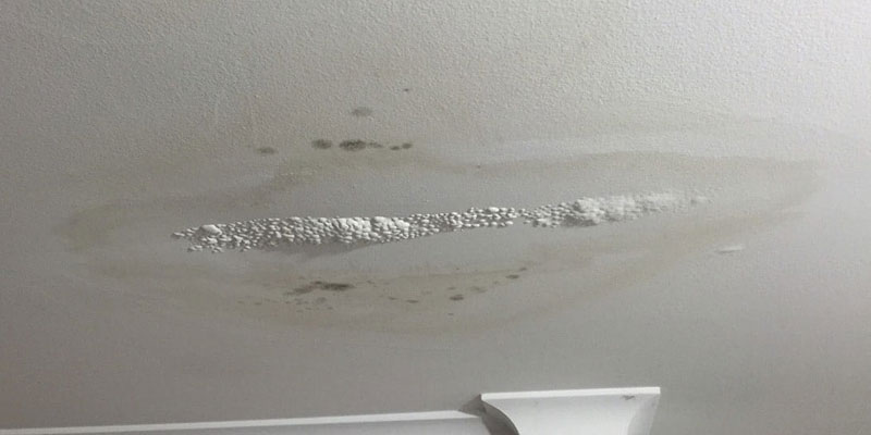 Roof affected by persistent water ingress and roofing deterioration